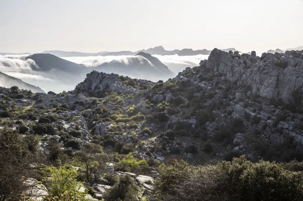 Antequera — documentary and travel photograph in Andalucía, Spain, frame 4 of 21.